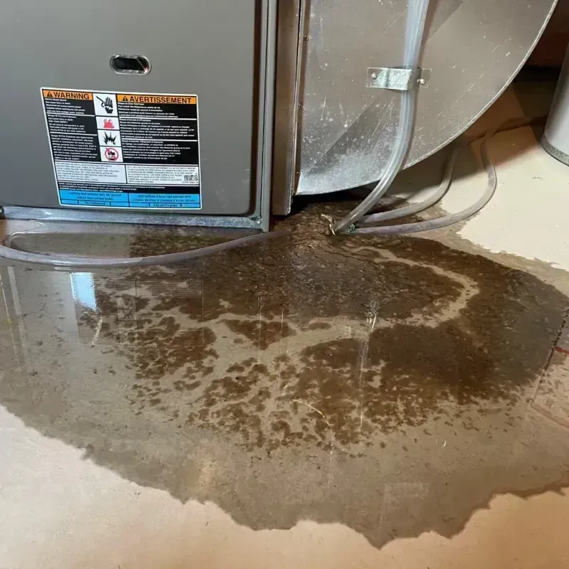 Appliance Leak Cleanup in Rockmart, GA